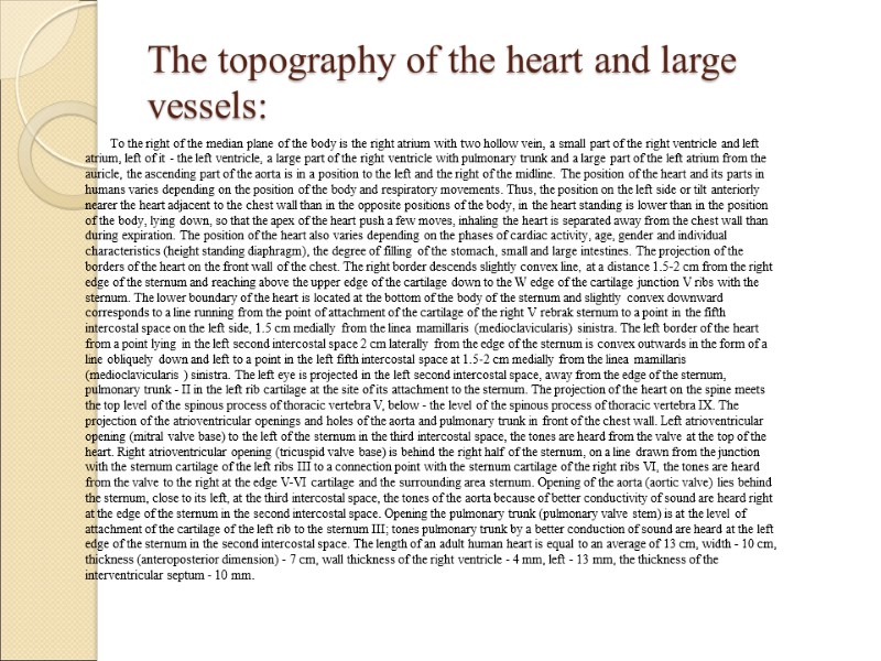 The topography of the heart and large vessels: To the right of the median